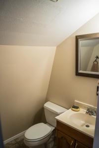 a bathroom with a toilet and a sink at Aspen Meadow Cabin in Duck Creek Village