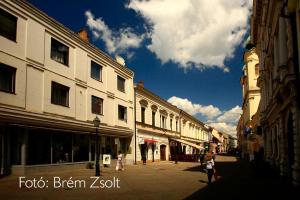 35 Vendégház Pécs 7625 Pécs, Böckh János utca 35. kép - 2
