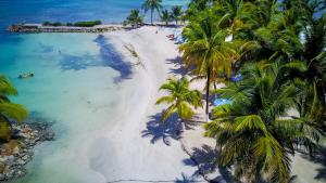 an aerial view of a beach with palm trees at Canella Beach Hotel in Le Gosier