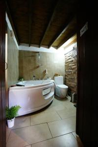 a large bathroom with a tub and a toilet at Irene's House in Kakopetria