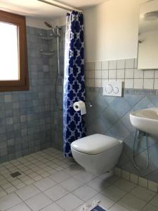 a bathroom with a toilet and a shower and a sink at Giuditta in Putzu Idu
