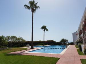 una palmera sentada junto a una piscina en Apartamento en Vinaroz en Vinarós