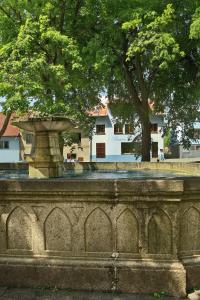 Fotografie z fotogalerie ubytování Pension Adam v destinaci Horní Planá