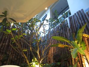 Fotografie z fotogalerie ubytování The Wave Hotel Patong SHA v destinaci Pláž Patong