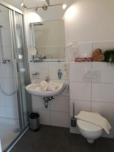 a bathroom with a sink and a toilet and a mirror at Apart Diamant in Nauders +44 photos