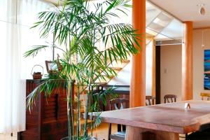uma mesa e uma palmeira num quarto em Tsuruga Sazanami Resort Chobei em Tsuruga