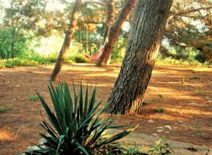 a hammock in a park next to a tree at Quercus Apartment in Stara Baška