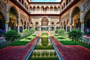 A garden outside Casa Dale