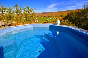 a blue swimming pool with a view of a golf course at Nes in Bifrost