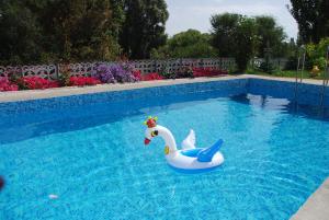 a pool with a plastic swan in the water at " У Татьяны" in Cholpon-Ata