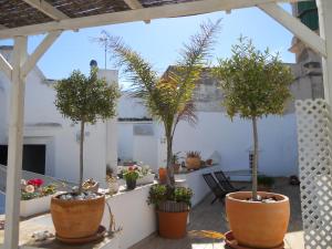 A garden outside Santa María 12 Boutique Apartamentos