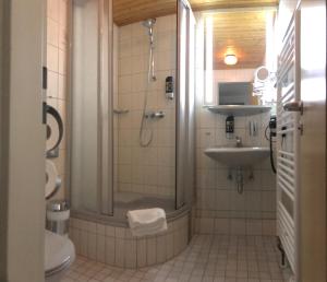 ein Bad mit einer Dusche, einem Waschbecken und einem WC in der Unterkunft Hotel Zur Sonne in Falkenstein