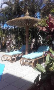 two lounge chairs and an umbrella on a patio at Avamada Lodge in Ivato