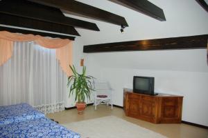 ein Schlafzimmer mit einem Bett und einem TV auf einer Kommode in der Unterkunft Pr Bevc in Bled