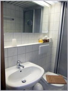 a bathroom with a sink and a toilet and a mirror at Gasthof-Pension Rotes Haus in Kurort Oberwiesenthal