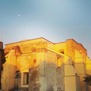 Galeriebild der Unterkunft Hierba De Conejo Hostel in Oaxaca de Juárez