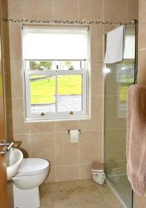 a bathroom with a toilet and a window and a sink at Rivers Bend Cottage in Skull