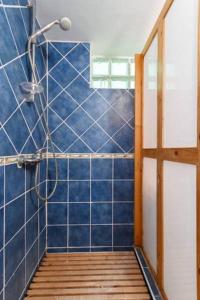 a bathroom with a shower with blue tiles at Holiday ApartHotel in Santa Maria +31 photos