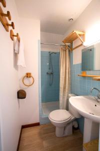 a bathroom with a toilet and a sink and a shower at Gites Les Cépages in Ammerschwihr
