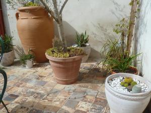 Gallery image of Le Jardin Andrinople in Richelieu