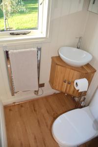 a small bathroom with a sink and a toilet at Kerswell Farm Shepherd Huts in Totnes