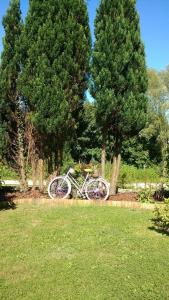 uma bicicleta estacionada na relva num parque em Bukszpan em Sasino