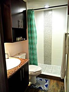 a bathroom with a sink and a toilet and a shower at Apartamentos EcoVivienda in Tegucigalpa