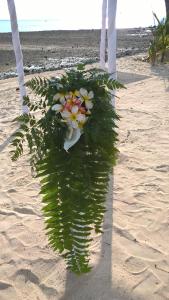Fotografie z fotogalerie ubytování Mango Bay Resort v destinaci Namatakula