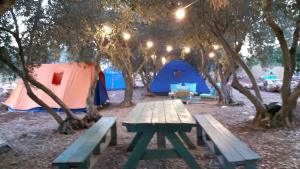 Foto dalla galleria di נפגשים בחצר בין ההרים - -- a Ramot Naftali