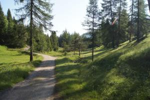 Przyroda w pobliżu tego hotelu