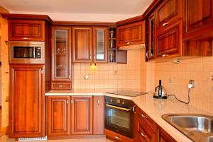 Kuchyňa alebo kuchynka v ubytovaní Apartament Dana
