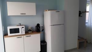 W kuchni znajduje się biała lodówka i kuchenka mikrofalowa. w obiekcie T2 de 45 m2 sur Porticcio avec Jardin w mieście Porticcio