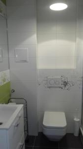 ヴロツワフにあるApartament Maneki Nekoの白いバスルーム(トイレ、シンク付)