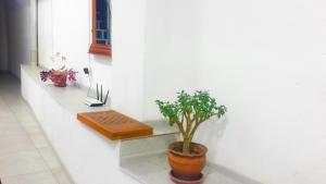 Foto dalla galleria di Hostel Near The Square a Tbilisi City