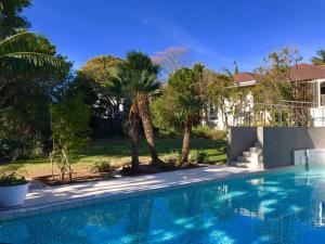 a swimming pool in front of a house with palm trees at 39 on Church in Port Elizabeth