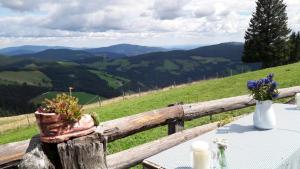 stół na płocie z widokiem na góry w obiekcie Gartenwohnung auf der Sommeralm w mieście Sankt Kathrein am Offenegg