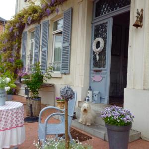 um cão sentado à porta de uma casa em La Maison de famille les Alizés em Le Crotoy