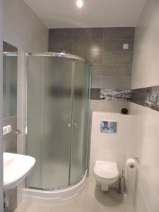 a bathroom with a shower and a toilet and a sink at Apartamenty Wilczyca in Wilczyn