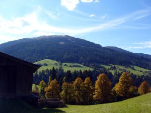 Naturlandschaft in der Nähe der Pension
