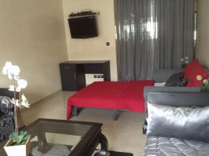 TV a/nebo společenská místnost v ubytování Cosy Appartement Rabat Haut Agdal