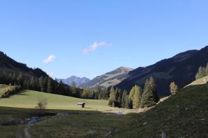 Naturlandschaft in der Nähe der Pension