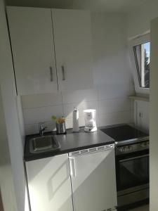 eine kleine Küche mit einer Spüle und einem Herd in der Unterkunft Apartment Gablenberg in Stuttgart