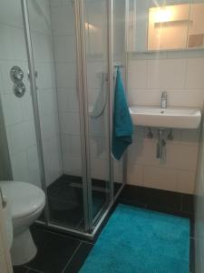 een badkamer met een douche, een wastafel en een toilet bij Apartment Gablenberg in Stuttgart