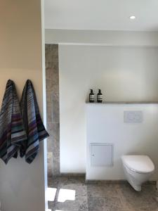 a bathroom with a toilet and towels hanging on a wall at Apple Cottage in Vejby