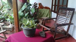 una maceta sentada en una mesa junto a dos sillas en Kalana Homestay, en Sigiriya