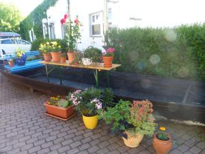 Ein Garten an der Unterkunft Hotel Dorotheenhof