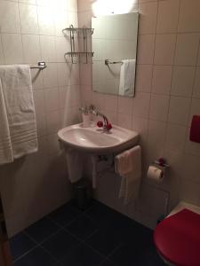 a bathroom with a white sink and a mirror at Auberge de la Bouege in Le Noirmont