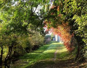 un chemin bordé d'arbres dans un champ dans l'établissement La Renaissance, à Marigny-le-Châtel