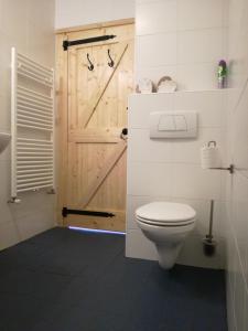 a bathroom with a toilet and a wooden door at Stal Zwartschaap in Stuifzand