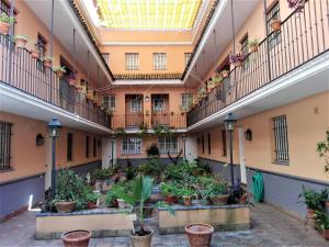 a hallway with potted plants in a building at Duplex En Corral De Vecinos San Bernardo in Seville